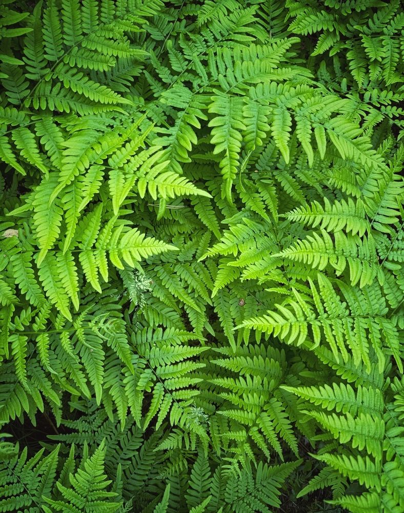 Photograph by Кира Бахвалова