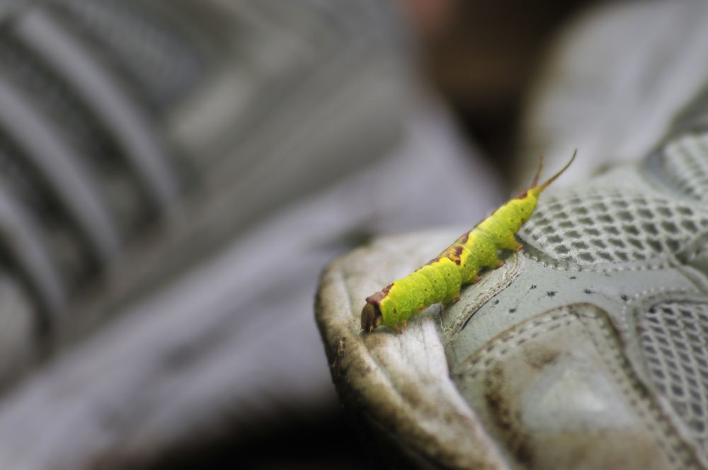 Photograph by Дерезюк Юрий Александрович