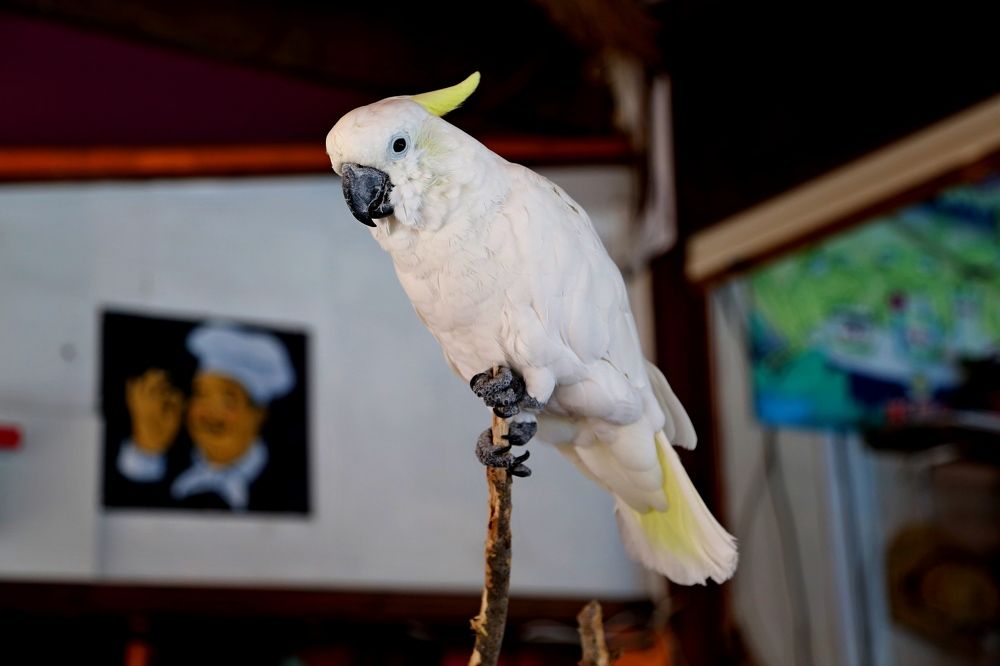 Photograph by Владимир Говоров