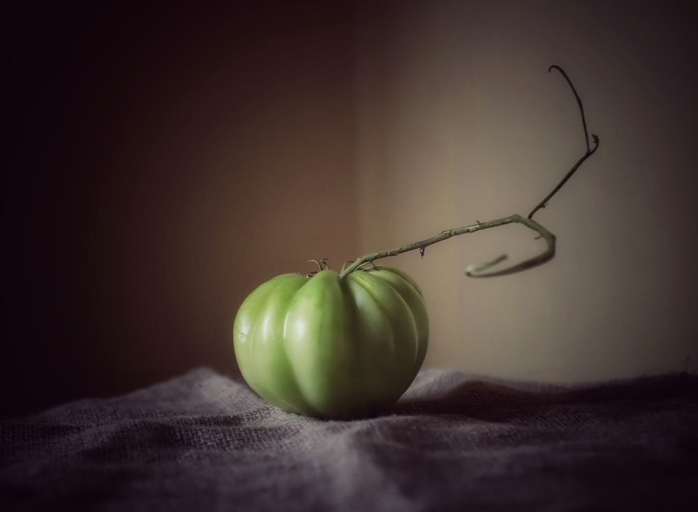 Photograph by Кира Бахвалова