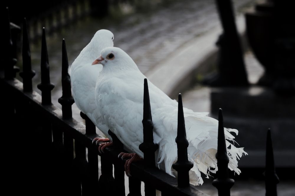 Photograph by Yana Egorova