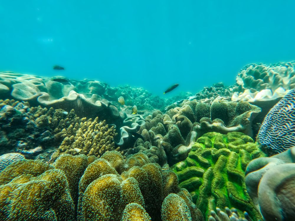 Photograph by nguyen truonghai