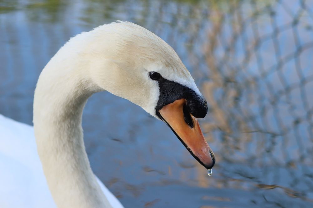 Photograph by Yana Egorova