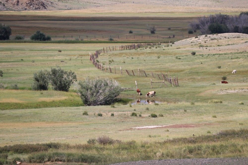 Photograph by Галина Мазур