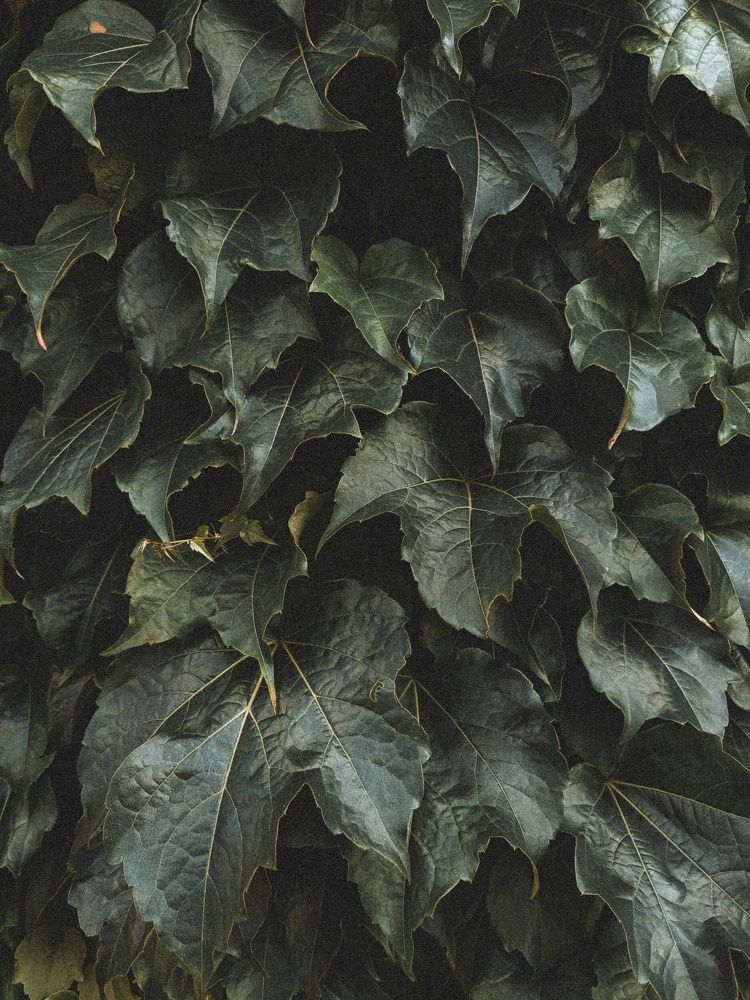 Photograph by Marina Zvada