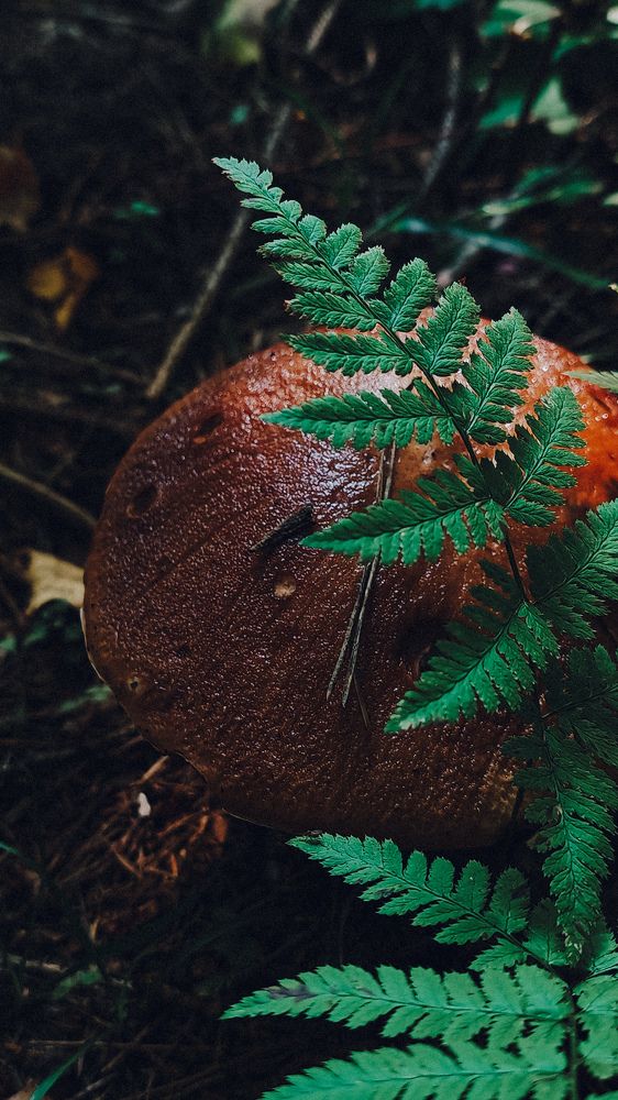 Photograph by Maria Stankevich