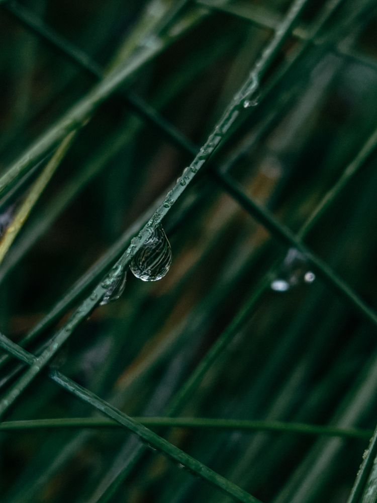 Photograph by Maria Stankevich