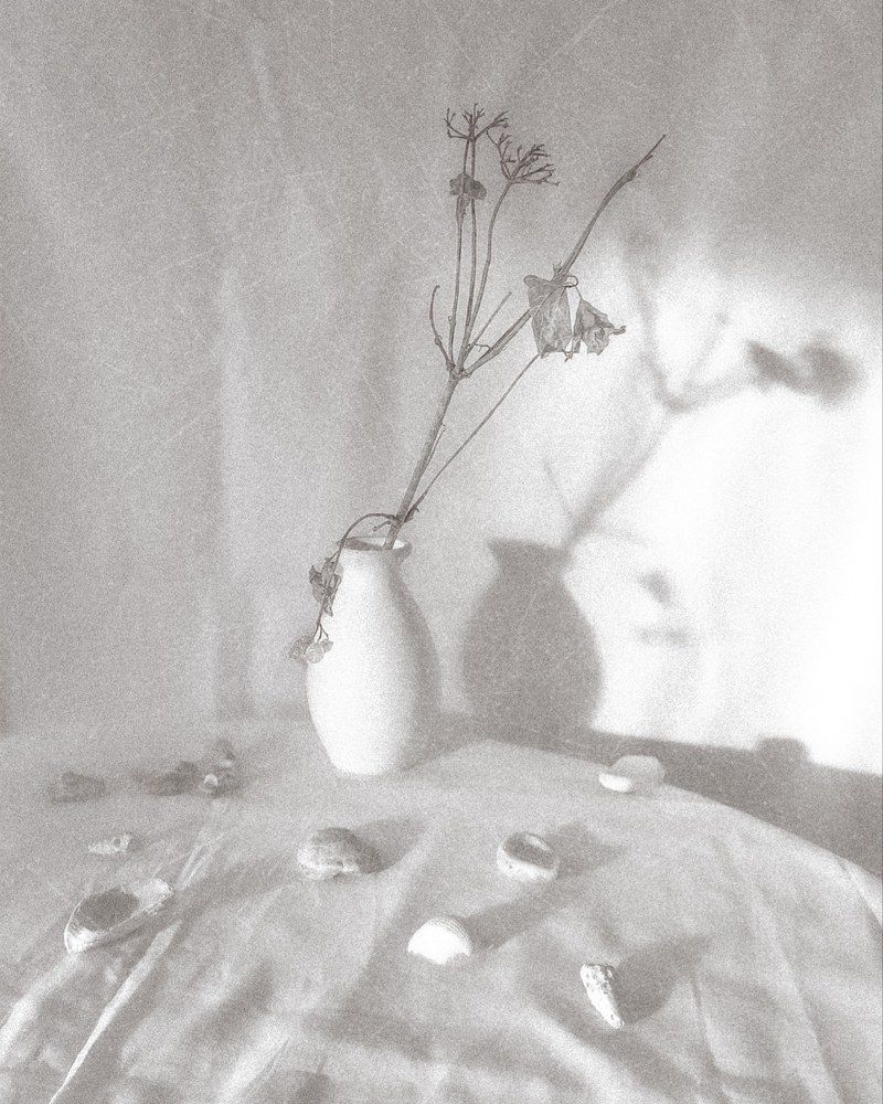 Photograph by Люда Яковлева