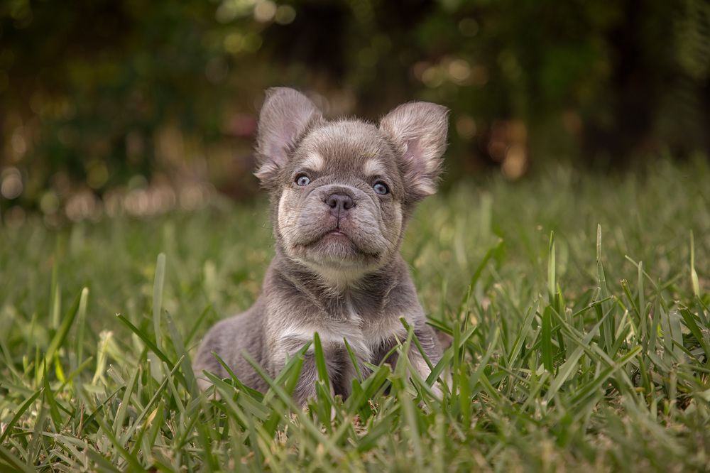 Фотография автора Татьяна Анпилова