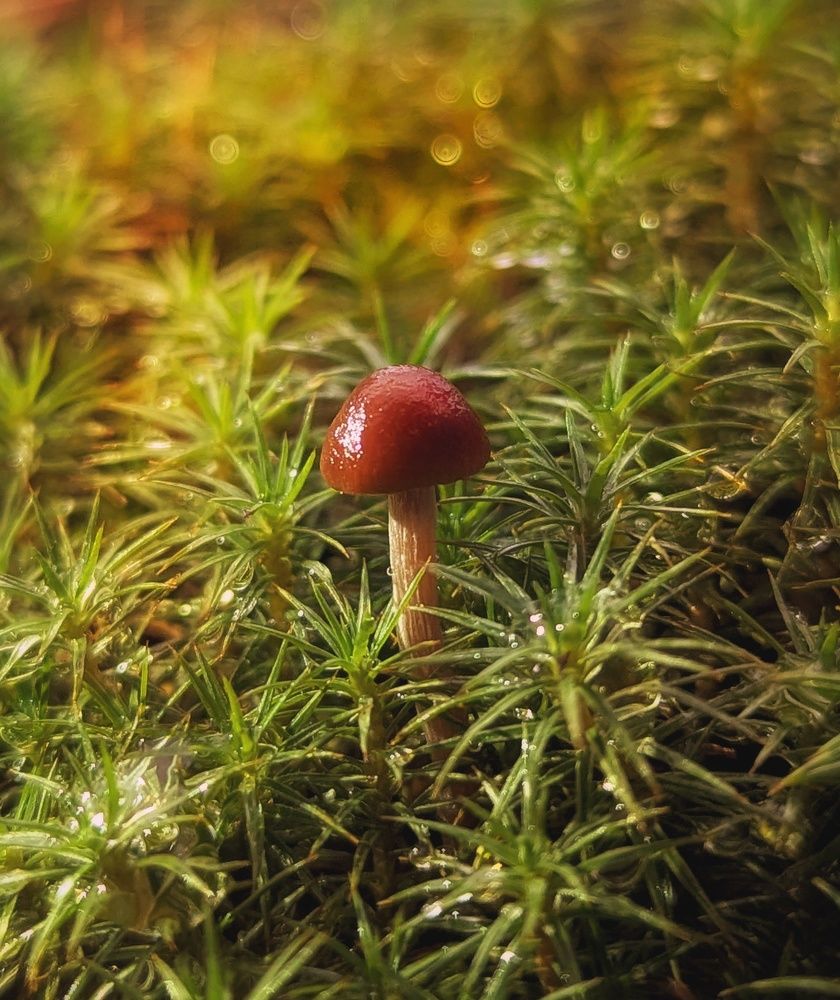 Photograph by Екатерина Колот