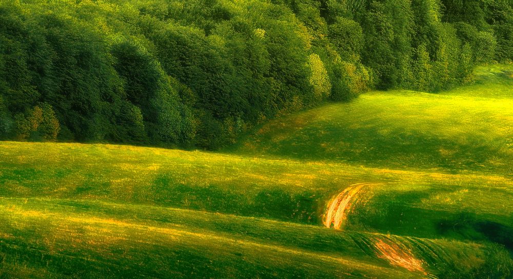 Photograph by Владимир