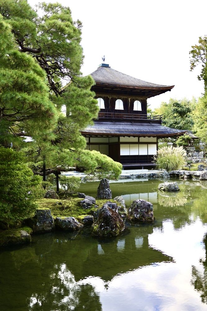 Photograph by Oscar Cortes Alarcón