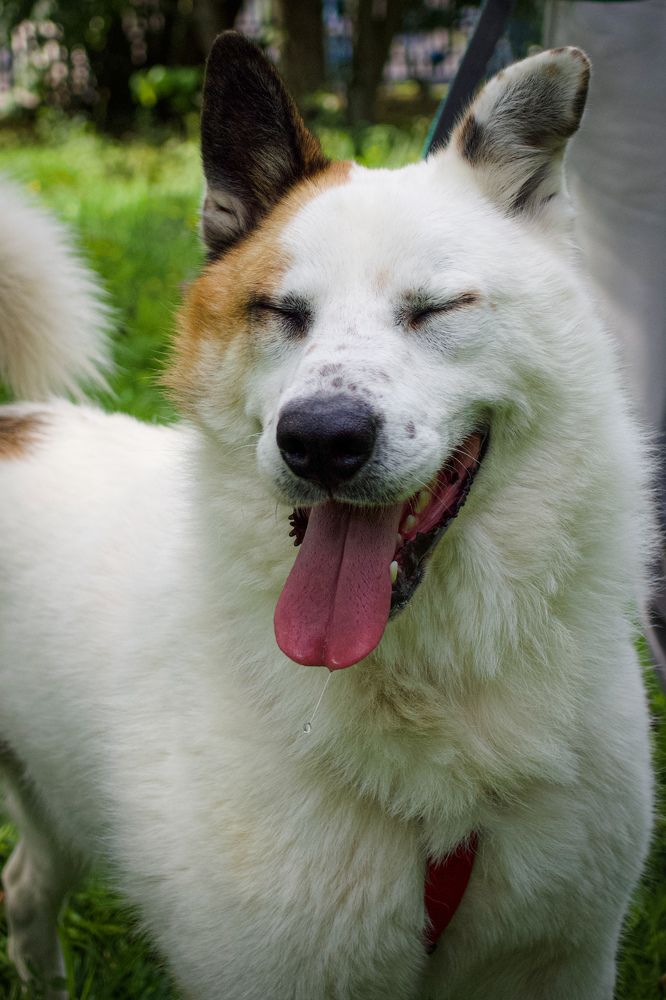 Photograph by Наталия Трофимова