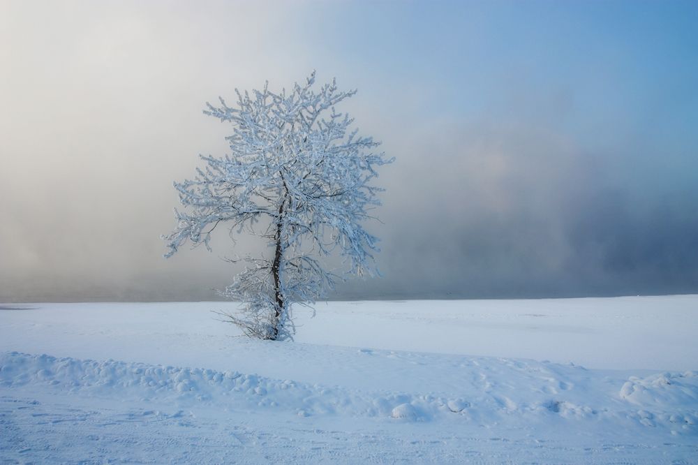 Photograph by Ольга Литвинцева