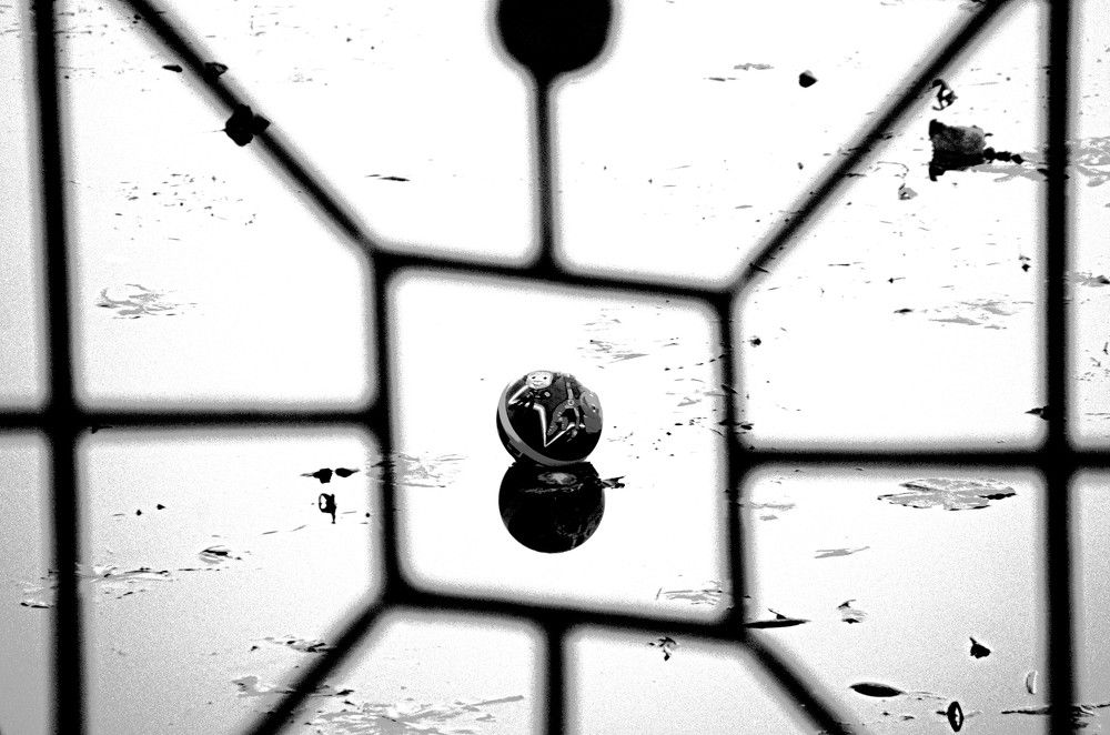 Photograph by Maks315519