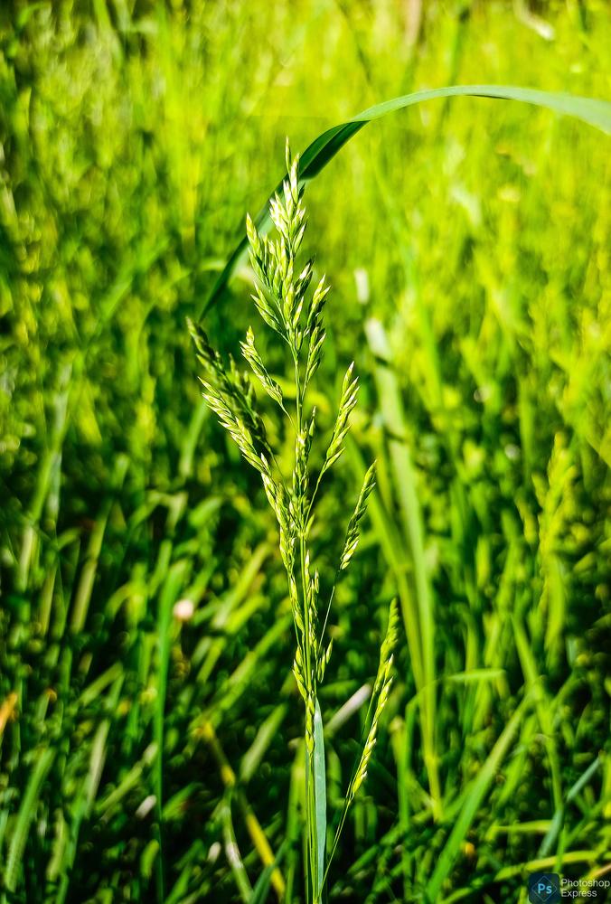 Photograph by Anna Grinkevich