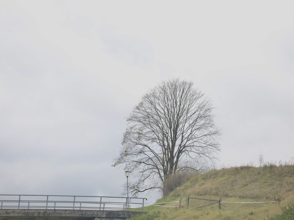 Фотография автора Наталия