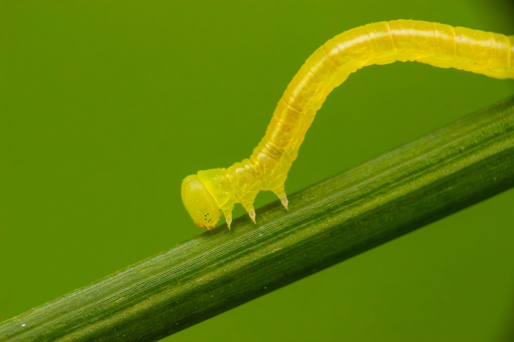 Photograph by Алексей