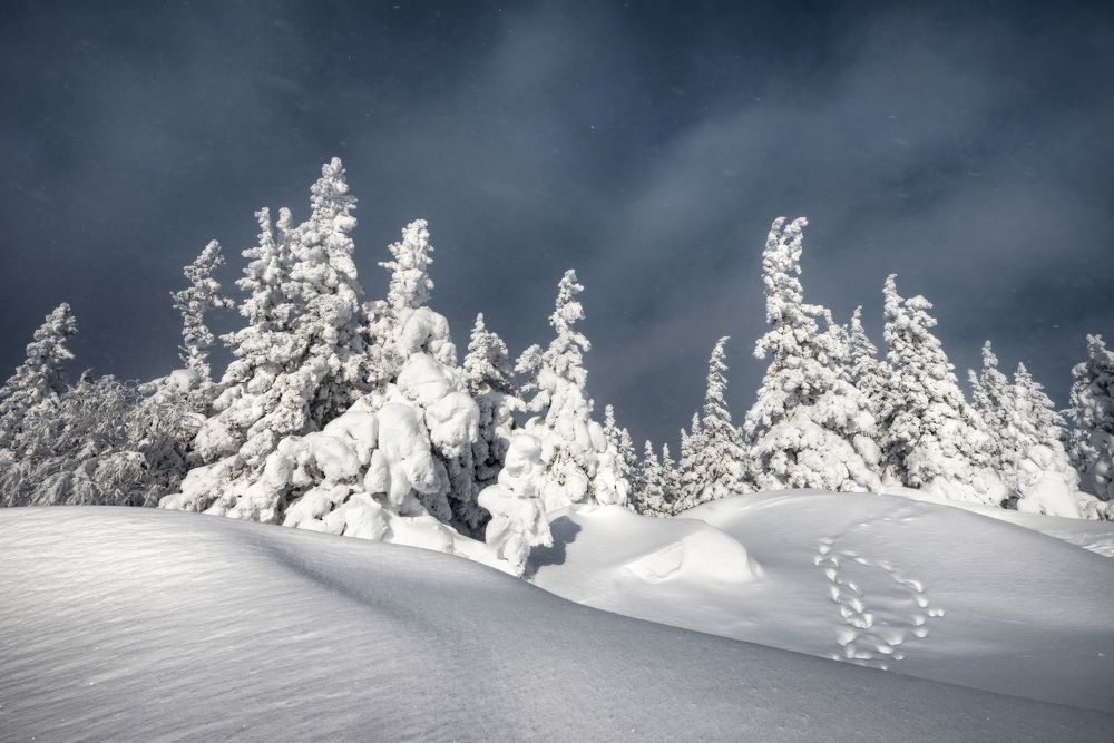 Photograph by Соколова Елена