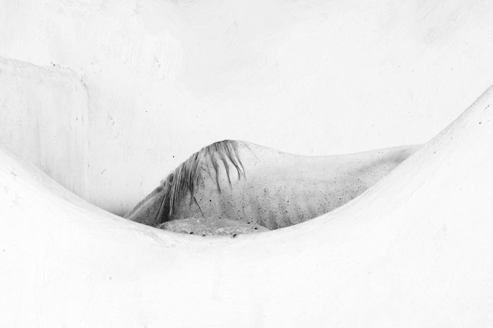 Photograph by Farid Azadi