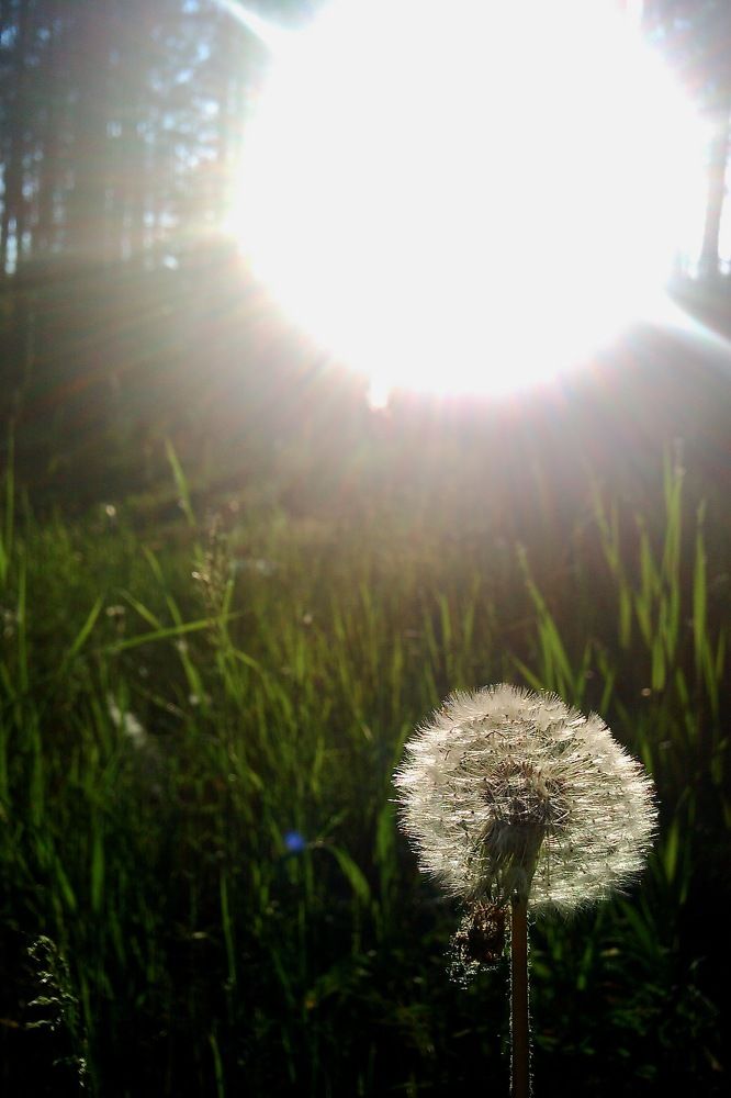 Photograph by Елена Шелуханова