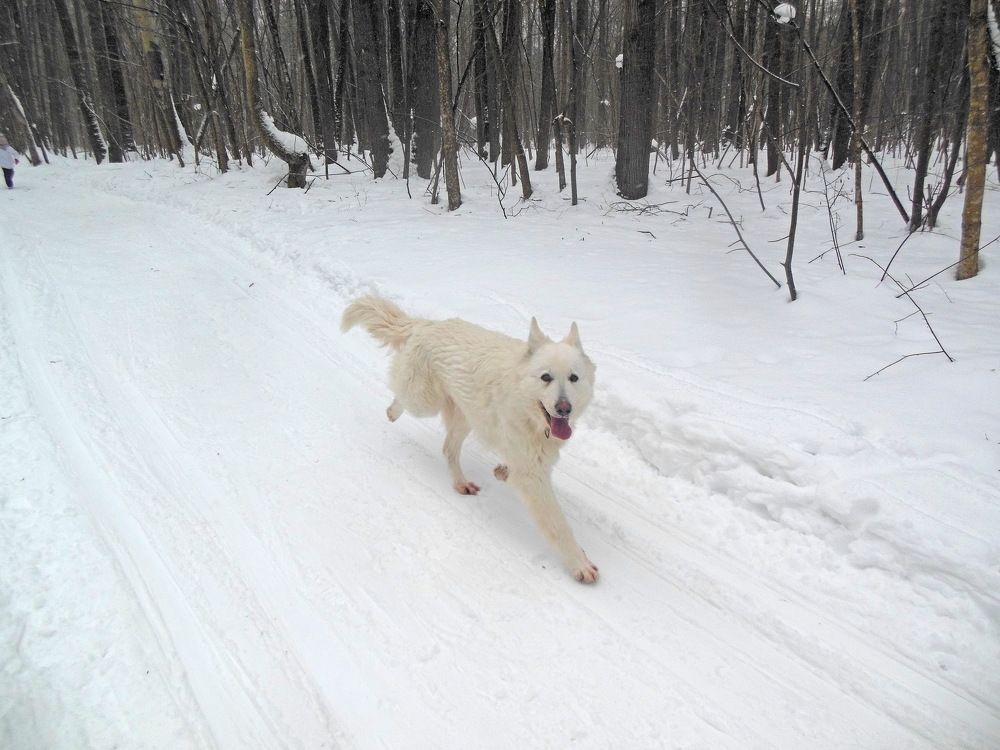 Фотография автора Клавдия Васильева
