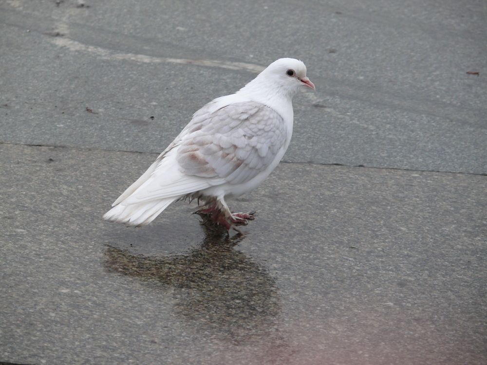 Фотография автора Клавдия Васильева