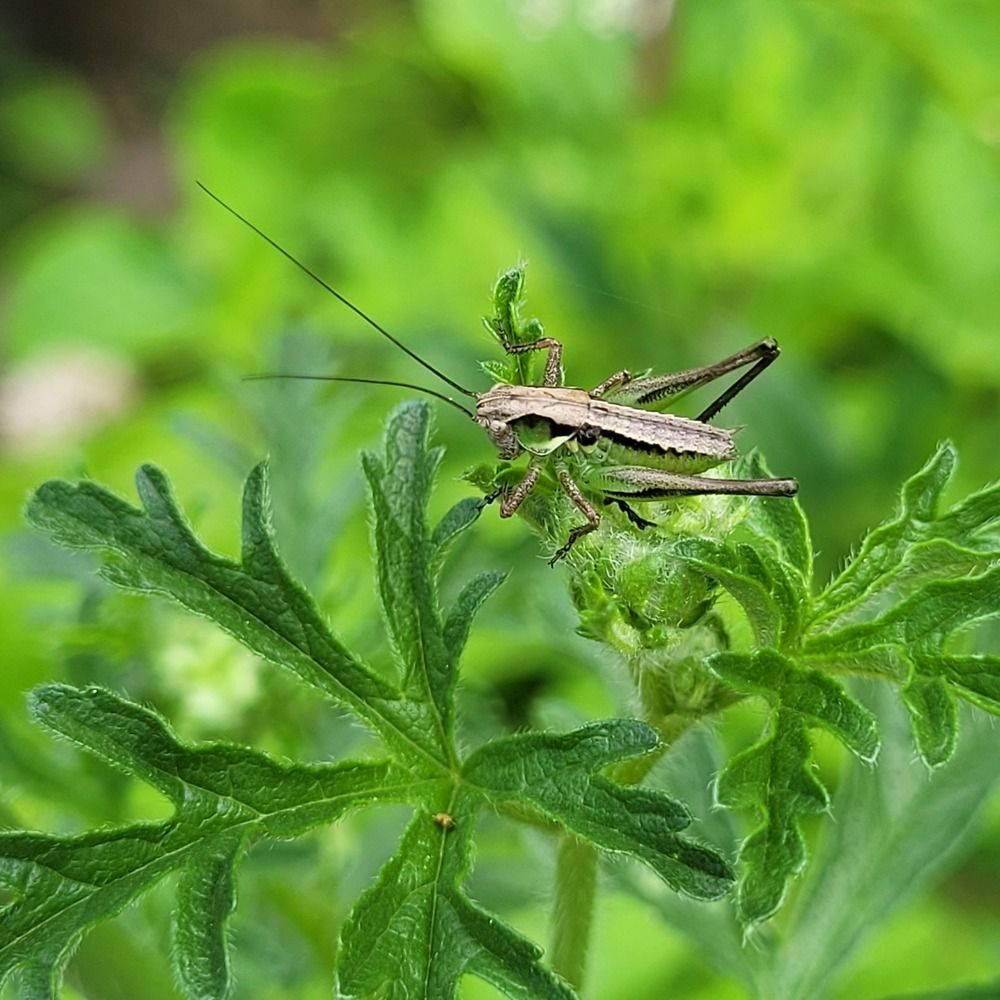 Photograph by Catherine Walter-Prêtre