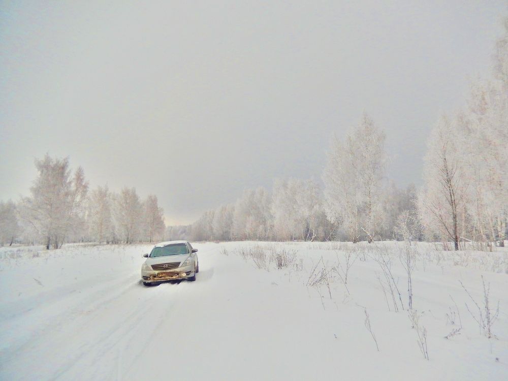 Фотография автора Клавдия Васильева