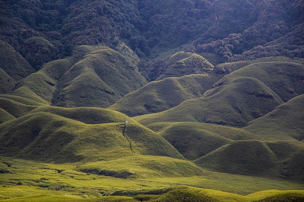 Photograph by Susobhan Biswas