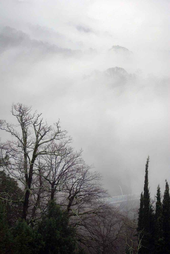 Photograph by Игорь Пшеничников