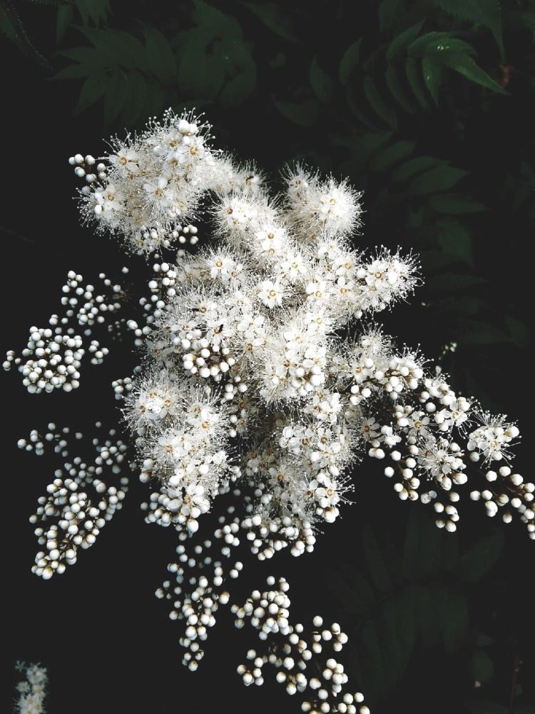 Photograph by Olga Александрова