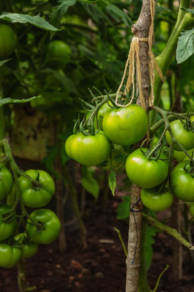 Photograph by Наталья Клячина