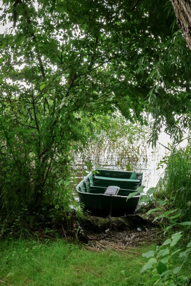 Photograph by Наталья Клячина