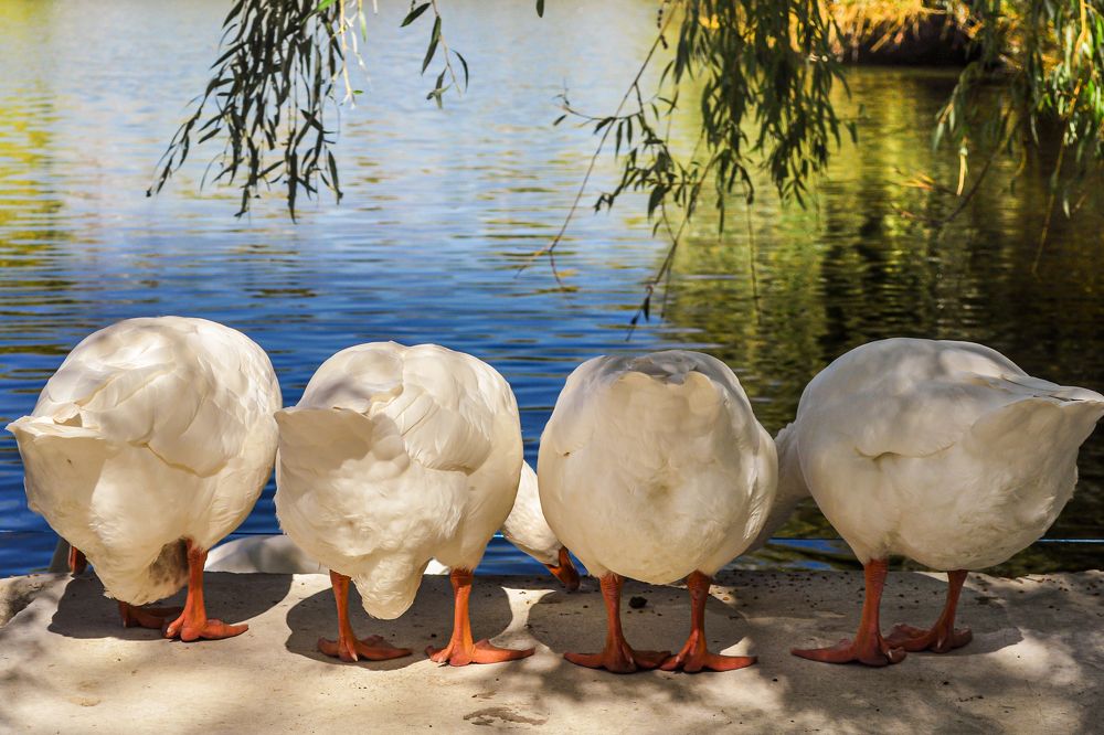 Photograph by Nikolai Barchan