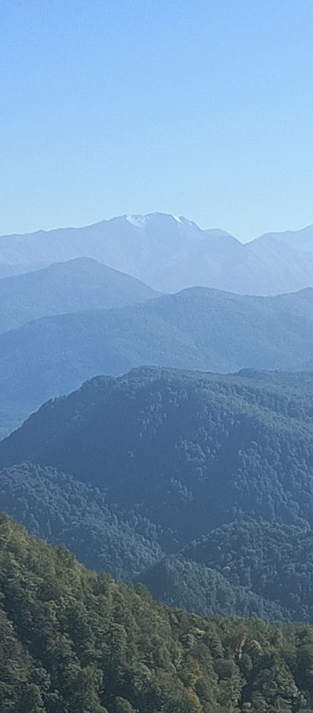 Photo #11379852