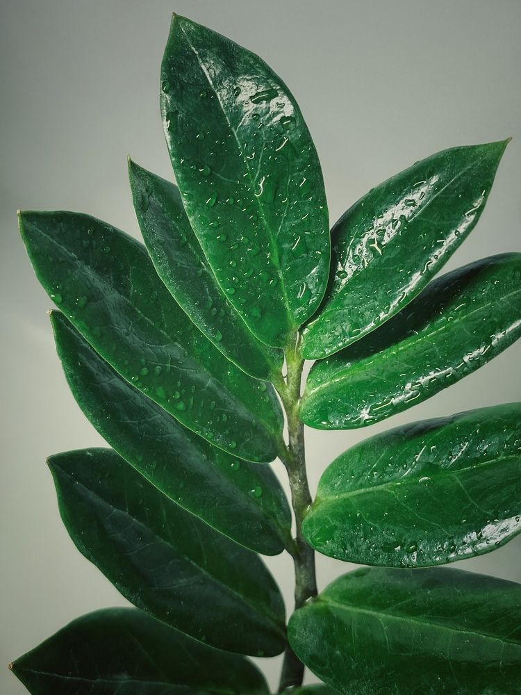 Photograph by Станислава Садыкова