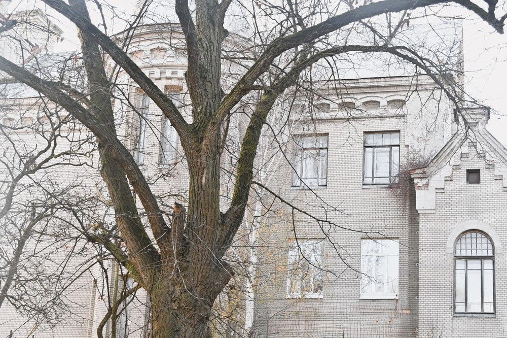 Фотография автора IRINA FILIPPOVA