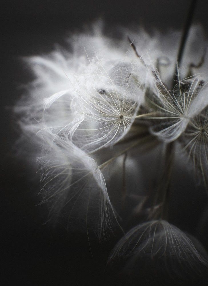 Photograph by Татьяна Максакова