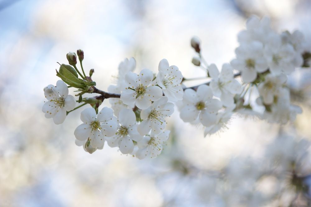 Photograph by Лариса Белашова