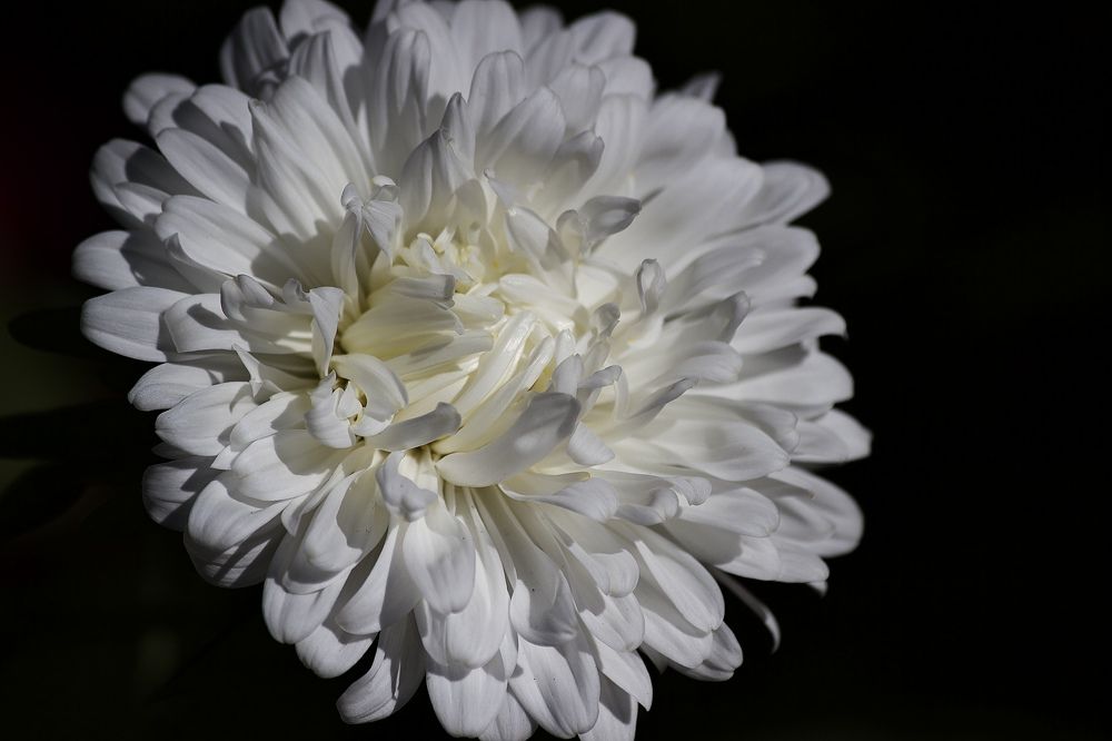 Photograph by Лариса Белашова