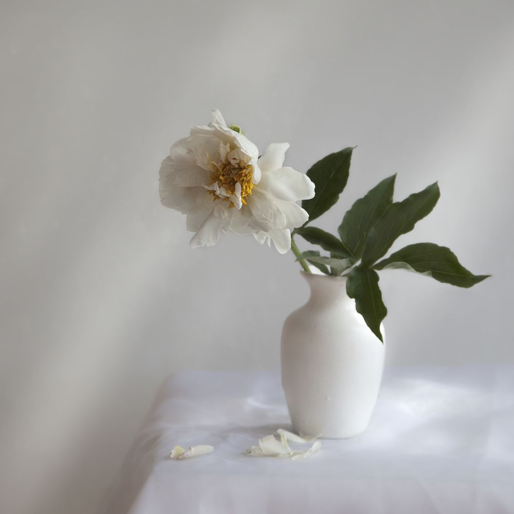 Photograph by Татьяна Назмутдинова