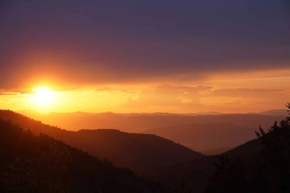 Photograph by Дарья Ринас