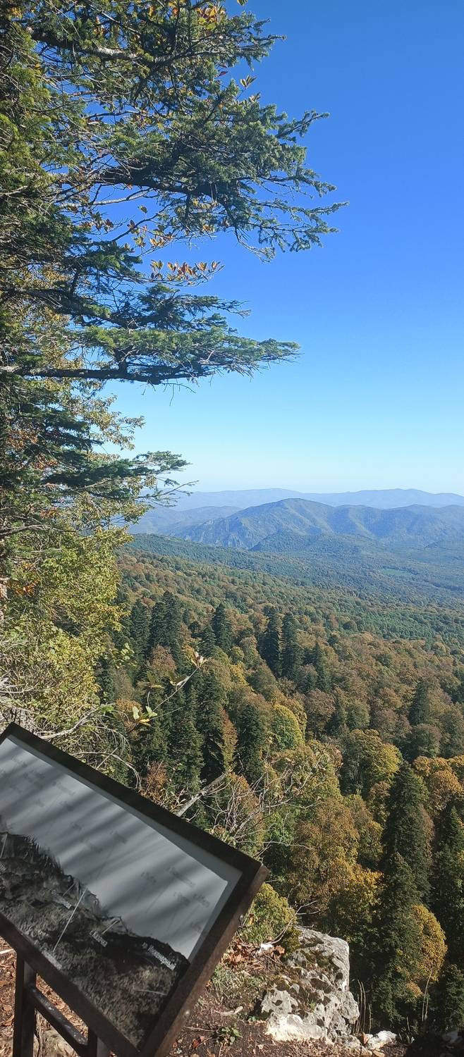 Photo #11379903