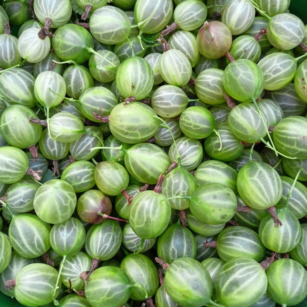 Photograph by Анастасия Горбачева