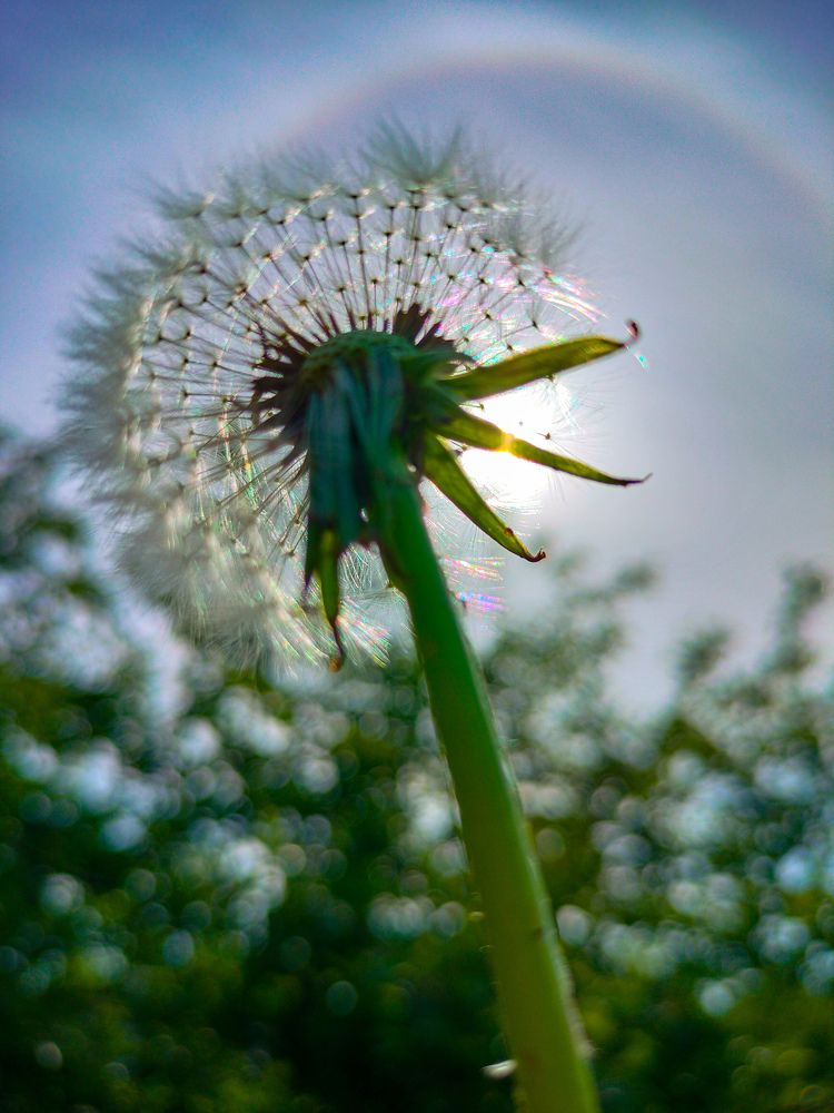 Photograph by Татьяна Небрат