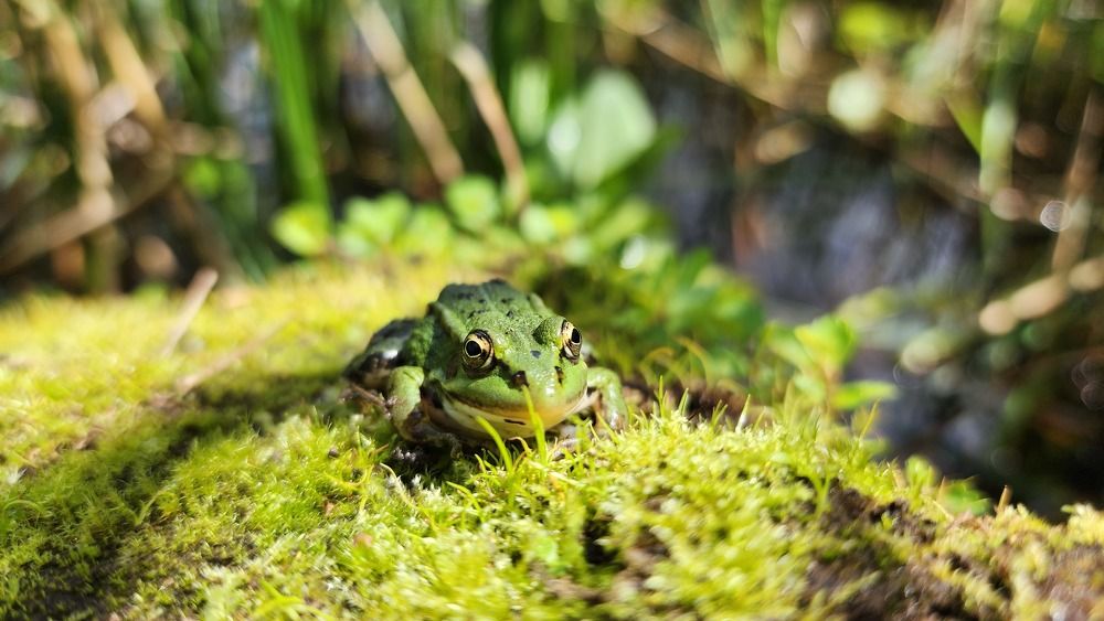 Photograph by Олег Филиппов