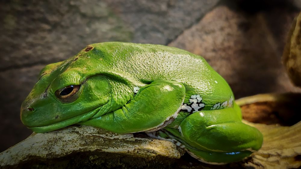 Photograph by Олег Филиппов