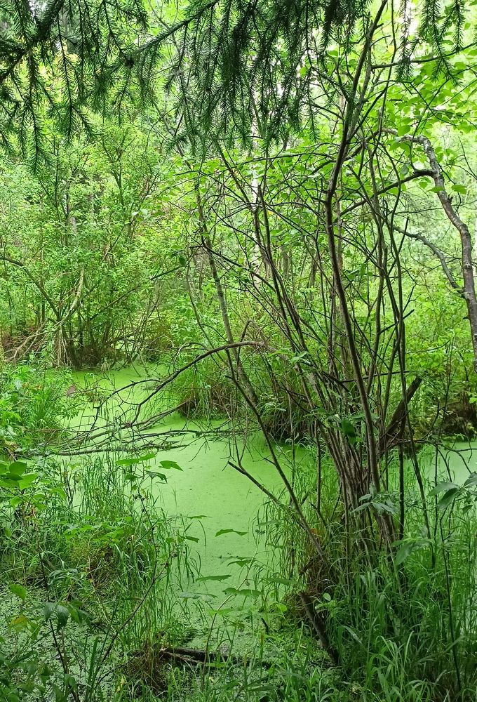 Photograph by Анастасия Горбачева