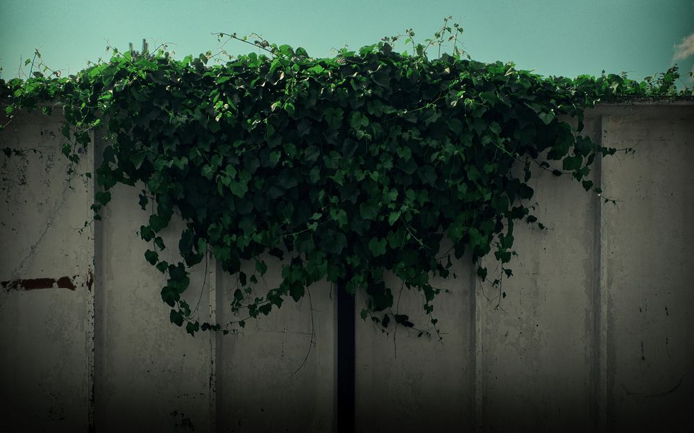 Photograph by Grebnev (DicDoc) Dmitriy